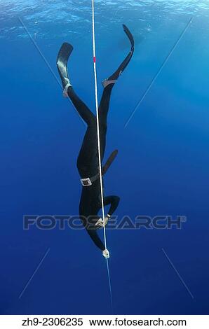 freediver, Aegean Sea, island Symi, Greece. View Large Photo Image Stock Photography - freediver, Aegean Sea, island Symi, Greece.. Fotosearch