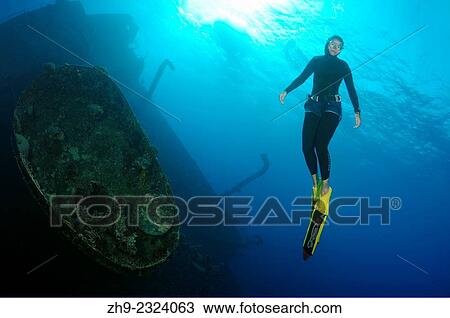 Freediver dives on the wreckship Gianis D. Red Sea, Sharm El Sheikh, Egyp. View Large Photo Image Stock Image - Freediver dives on the wreckship Gianis D. Red Sea, Sharm El Sheikh, Egyp.. Fotosearch