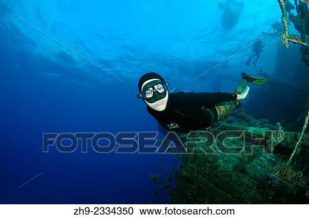 Freediver dives on the wreckship Gianis D. Red Sea, Sharm El Sheikh, Egyp. View Large Photo Image Stock Image - Freediver dives on the wreckship Gianis D. Red Sea, Sharm El Sheikh, Egyp.. Fotosearch