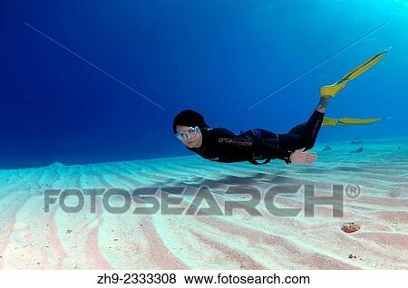 Stock Photo - Freediver swims over a sandy bottom, Red Sea, Egypt.. Fotosearch