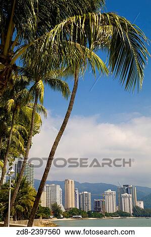 Stock Image - Georgetown. from Gurney Drive.. Fotosearch