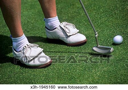 golf, Hardelot, Pas-de-Calais department, Nord-Pas-de-Calais region, France, Europe. View Large Photo Image Stock Image - golf, Hardelot, Pas-de-Calais department, Nord-Pas-de-Calais region, France, Europe.. Fotosearch