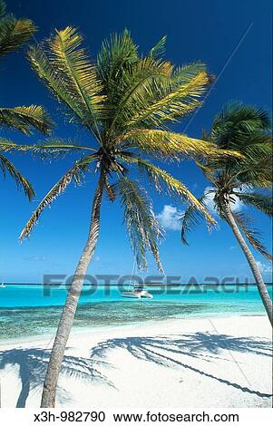 Jamesby, Tobago Cays, Grenadines islands, Saint Vincent and the Grenadines, Winward Islands, Lesser Antilles, Caribbean Sea View Large Photo Image Stock Image - Jamesby, Tobago Cays, Grenadines islands, Saint Vincent and the Grenadines, Winward Islands, Lesser Antilles, Caribbean Sea. Fotosearch