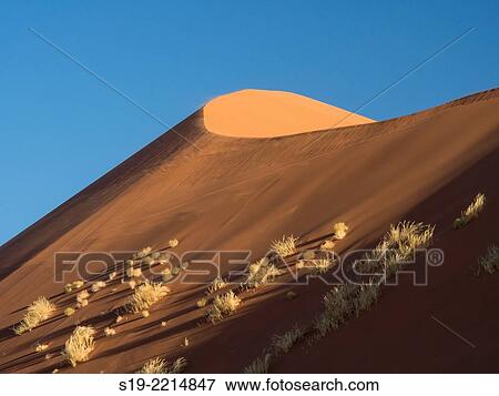 Namibia, Sossusvlei Dunes, Sand dune View Large Photo Image Stock Photo - Namibia, Sossusvlei Dunes, Sand dune. Fotosearch