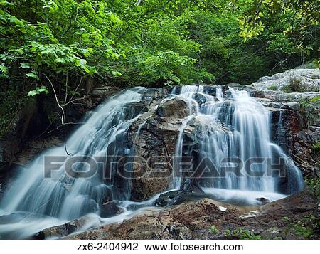 One of the many waterfalls along Gualba stream below Santa Fe dam. Springtime at Montseny Natural Park´s beech forest. Barcelona province, Catalonia, Spain. View Large Photo Image Stock Image - One of the many waterfalls along Gualba stream below Santa Fe dam. Springtime at Montseny Natural Park´s beech forest. Barcelona province, Catalonia, Spain.. Fotosearch
