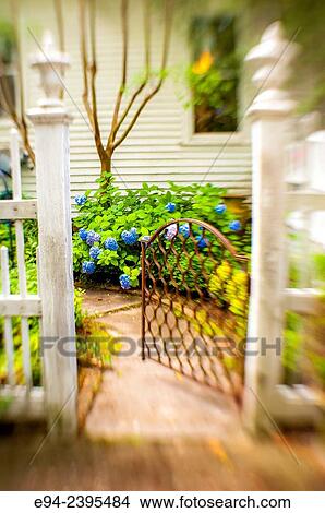Outdoor living space in a garden setting featuring hydrangeas looking through a gate. Georgia USA View Large Photo Image Picture - Outdoor living space in a garden setting featuring hydrangeas looking through a gate. Georgia USA. Fotosearch