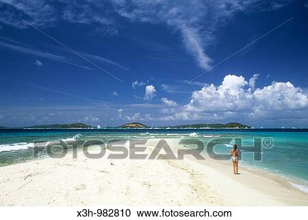 Petit Tabac islet, Tobago Cays, Grenadines islands, Saint Vincent and the Grenadines, Winward Islands, Lesser Antilles, Caribbean Sea View Large Photo Image Stock Image - Petit Tabac islet, Tobago Cays, Grenadines islands, Saint Vincent and the Grenadines, Winward Islands, Lesser Antilles, Caribbean Sea. Fotosearch