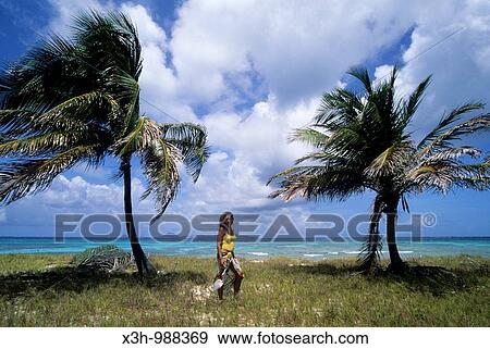 Petit Tabac islet, Tobago Cays, Grenadines islands, Saint Vincent and the Grenadines, Winward Islands, Lesser Antilles, Caribbean Sea View Large Photo Image Stock Photo - Petit Tabac islet, Tobago Cays, Grenadines islands, Saint Vincent and the Grenadines, Winward Islands, Lesser Antilles, Caribbean Sea. Fotosearch