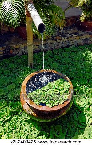 Pond in the garden. Mui Ne, Binh Thuan Province, Vietnam. View Large Photo Image Stock Photography - Pond in the garden. Mui Ne, Binh Thuan Province, Vietnam.. Fotosearch