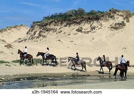 Picture - riding in the sand dunes, Hardelot, Pas-de-Calais department, Nord-Pas-de-Calais region, France, Europe.. Fotosearch