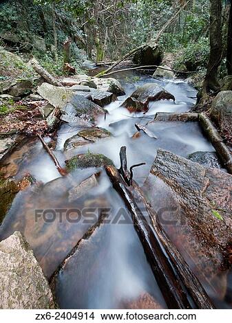 Picture - Riells stream at Breda village countryside, La Selva region. Montseny Natural Park. Barcelona province, Catalonia, Spain.. Fotosearch