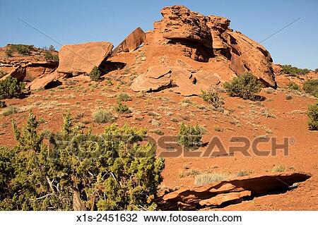 Rust colored sandstone in Utah provides a colorful base for desert brush and wild flowers. View Large Photo Image Stock Image - Rust colored sandstone in Utah provides a colorful base for desert brush and wild flowers.. Fotosearch