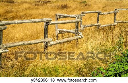 Rustic, wooden pole fence in the rural farmlands of the Western Cape Province, South Africa View Large Photo Image Stock Photo - Rustic, wooden pole fence in the rural farmlands of the Western Cape Province, South Africa. Fotosearch