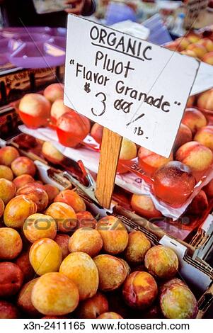 SAN FRANCISCO, CALIFORNIA - Ferry Plaza Farmers Market, shoppers and organic produce. View Large Photo Image Stock Photography - SAN FRANCISCO, CALIFORNIA - Ferry Plaza Farmers Market, shoppers and organic produce.. Fotosearch