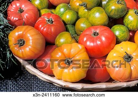 SAN FRANCISCO, CALIFORNIA - Tomatoes displayed at the Ferry Plaza Farmers Market. View Large Photo Image Stock Image - SAN FRANCISCO, CALIFORNIA - Tomatoes displayed at the Ferry Plaza Farmers Market.. Fotosearch