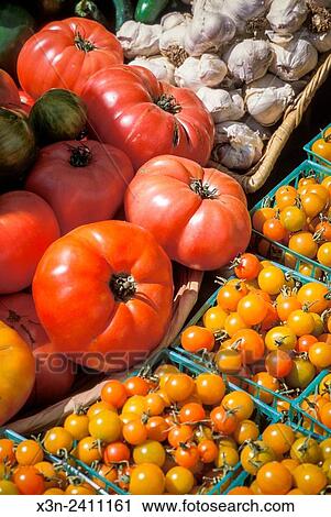SAN FRANCISCO, CALIFORNIA - Tomatoes and garlic displayed at the Ferry Plaza Farmers Market. View Large Photo Image Stock Image - SAN FRANCISCO, CALIFORNIA - Tomatoes and garlic displayed at the Ferry Plaza Farmers Market.. Fotosearch