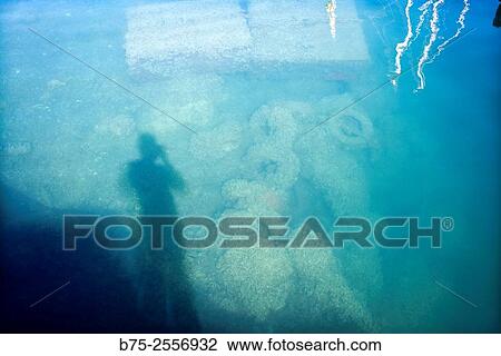 Stock Image - Self-Portrait. Selfie. Shadow of the photographer reflected in the sea. Port Mahon, Menorca, Mediterranean sea, Balearic Islands, Spain, Europe. Fotosearch