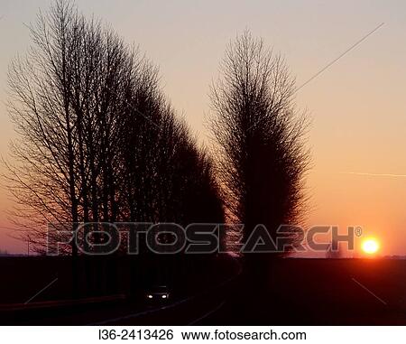 Sunset on the road to Bialystok from Lublin. Podlasie region. Poland View Large Photo Image Stock Photograph - Sunset on the road to Bialystok from Lublin. Podlasie region. Poland. Fotosearch
