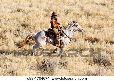 United States, Wyoming, Shell, The Hideout Guest Ranch, cow-boy View Large Photo Image Picture - United States, Wyoming, Shell, The Hideout Guest Ranch, cow-boy. Fotosearch