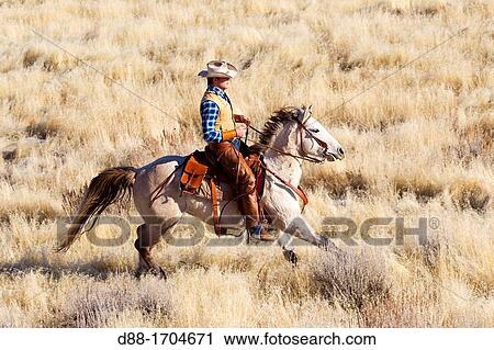 Stock Image - United States, Wyoming, Shell, The Hideout Guest Ranch, cow-boy. Fotosearch