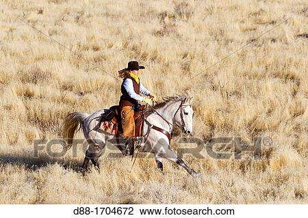 United States, Wyoming, Shell, The Hideout Guest Ranch, cow-boy View Large Photo Image Stock Image - United States, Wyoming, Shell, The Hideout Guest Ranch, cow-boy. Fotosearch