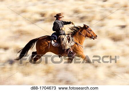United States, Wyoming, Shell, The Hideout Guest Ranch, cow-boy View Large Photo Image Stock Image - United States, Wyoming, Shell, The Hideout Guest Ranch, cow-boy. Fotosearch