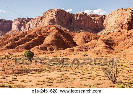 Stock Photo - Valley floor with desert sage and little else leads to the sandstone foothills and high cliffs in Capitol Reef National Park.. Fotosearch