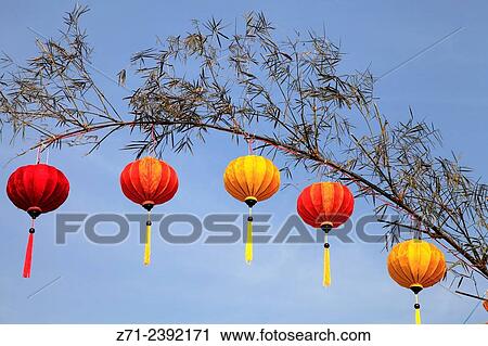 Vietnam, Hoi An, Lanterns hanging on branch View Large Photo Image Stock Image - Vietnam, Hoi An, Lanterns hanging on branch. Fotosearch