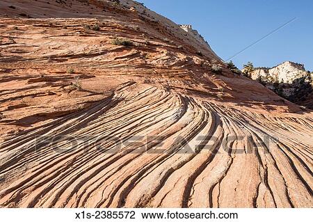 Waves of sandstone rock seem to flow in the American Southwest in Zion National Park. View Large Photo Image Stock Image - Waves of sandstone rock seem to flow in the American Southwest in Zion National Park.. Fotosearch
