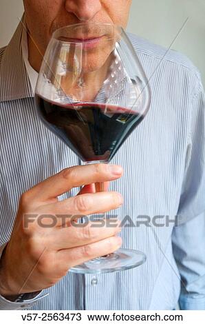Wine taster smelling a glass of red wine. Close view. View Large Photo Image Stock Image - Wine taster smelling a glass of red wine. Close view.. Fotosearch