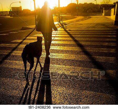 Stock Photograph - Woman walking dog on northbound, Valencia, Spain. Fotosearch