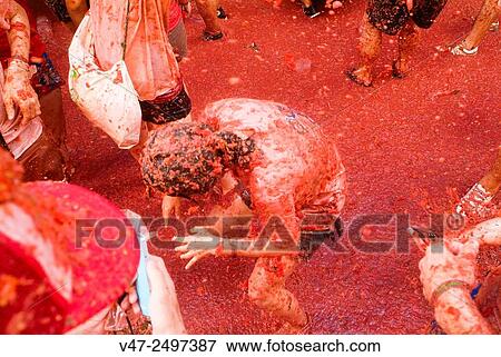 150 tons of tomatoes serve as ammunition for traditional Tomatina, a battle which attracted this year more than 22, 000 people of 96 different nationalities to launch a record number tomatoes. Buñol, Valencia province, Spain. View Large Photo Image Stock Photo - 150 tons of tomatoes serve as ammunition for traditional Tomatina, a battle which attracted this year more than 22, 000 people of 96 different nationalities to launch a record number tomatoes. Buñol, Valencia province, Spain.. Fotosearch