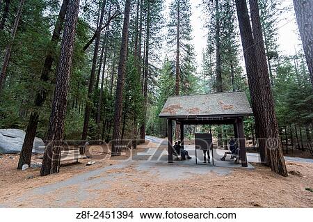A bus stop with five people waiting for the bus to arrive at a sector of the Yosemite National Park, California, USA. View Large Photo Image Picture - A bus stop with five people waiting for the bus to arrive at a sector of the Yosemite National Park, California, USA.. Fotosearch