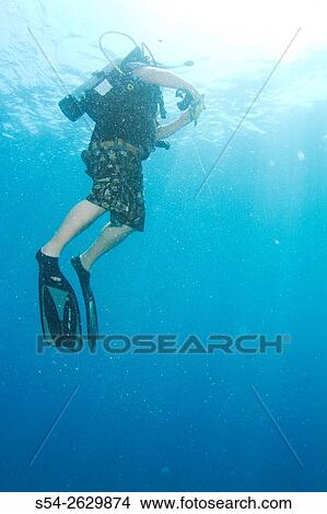 A man ascending after scuba diving in Florida, USA. View Large Photo Image Picture - A man ascending after scuba diving in Florida, USA.. Fotosearch