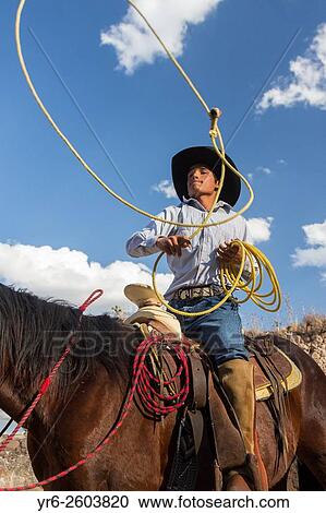 A Mexican charro or cowboy practices roping skills on his horse before a Charreada competition at a hacienda ranch in Alcocer, Mexico. View Large Photo Image Stock Image - A Mexican charro or cowboy practices roping skills on his horse before a Charreada competition at a hacienda ranch in Alcocer, Mexico.. Fotosearch