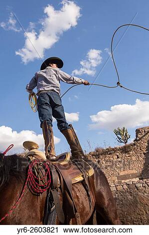 A Mexican charro or cowboy practices roping skills on his horse before a Charreada competition at a hacienda ranch in Alcocer, Mexico. View Large Photo Image Stock Image - A Mexican charro or cowboy practices roping skills on his horse before a Charreada competition at a hacienda ranch in Alcocer, Mexico.. Fotosearch