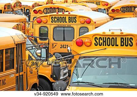 A mosaic of American school buses. New York City View Large Photo Image Stock Photo - A mosaic of American school buses. New York City. Fotosearch