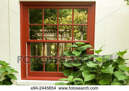 Picture - A red multi-paned window on a house flanked by plants. Pittsburgh Pennsylvania USA. Fotosearch