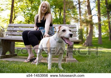 A young lady with her dog in a park View Large Photo Image Stock Photograph - A young lady with her dog in a park. Fotosearch