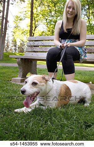 A young lady with her dog in a park View Large Photo Image Stock Photography - A young lady with her dog in a park. Fotosearch
