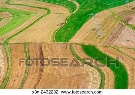 Aerial view of cover crops on farm fields in Maryland, USA. View Large Photo Image Stock Image - Aerial view of cover crops on farm fields in Maryland, USA.. Fotosearch