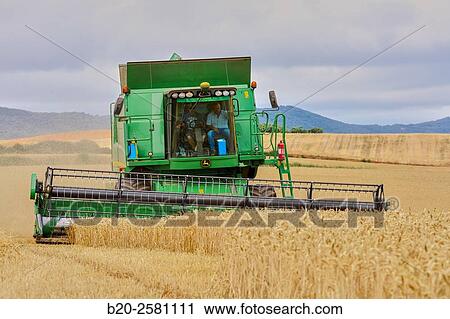 Agricultural machinery Combine harvester on field of wheat? Learza? estate Near Estella, Navarre, Spain View Large Photo Image Stock Image - Agricultural machinery Combine harvester on field of wheat? Learza? estate Near Estella, Navarre, Spain. Fotosearch