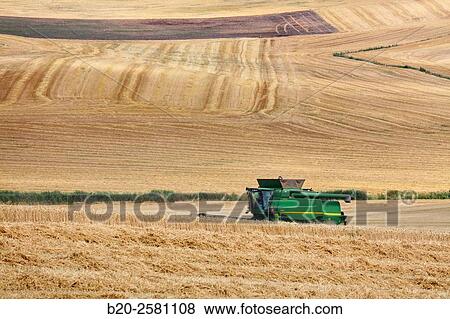 Agricultural machinery Combine harvester on field of wheat? Learza? estate Near Estella, Navarre, Spain View Large Photo Image Stock Photo - Agricultural machinery Combine harvester on field of wheat? Learza? estate Near Estella, Navarre, Spain. Fotosearch