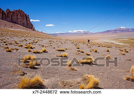 Andes Mountains at right, and at left Las Catedrales (The cathedrals) rock formation, near Salar de Tara, Altiplano, Puna, Atacama desert. Region de Antofagasta. Chile. View Large Photo Image Stock Image - Andes Mountains at right, and at left Las Catedrales (The cathedrals) rock formation, near Salar de Tara, Altiplano, Puna, Atacama desert. Region de Antofagasta. Chile.. Fotosearch
