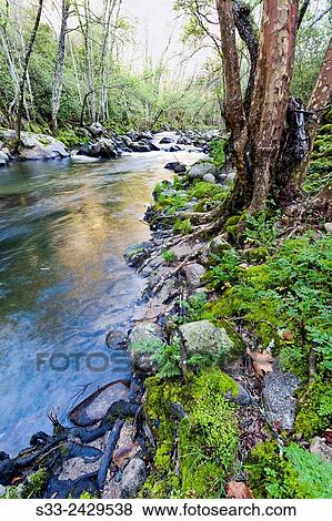 Arenal river in Arenas de San Pedro. Avila. Castile-Leon. Spain View Large Photo Image Stock Photo - Arenal river in Arenas de San Pedro. Avila. Castile-Leon. Spain. Fotosearch