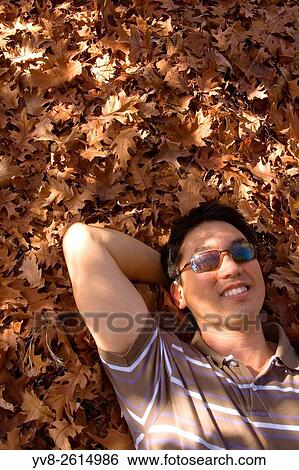 Asian man laying on autumn foliage. View Large Photo Image Stock Photograph - Asian man laying on autumn foliage.. Fotosearch