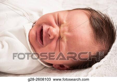 Baby 2 weeks old awake and crying in white View Large Photo Image Stock Image - Baby 2 weeks old awake and crying in white. Fotosearch