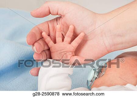Baby 2 weeks old little boy's hand in father's hand View Large Photo Image Stock Photo - Baby 2 weeks old little boy's hand in father's hand. Fotosearch