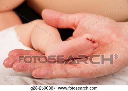 Baby boy, 2 weeks old View Large Photo Image Stock Photo - Baby boy, 2 weeks old. Fotosearch