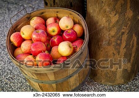 Barrel of fresh apples in Baltimore, Maryland, USA. View Large Photo Image Stock Photography - Barrel of fresh apples in Baltimore, Maryland, USA.. Fotosearch